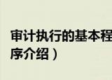 审计执行的基本程序（关于审计执行的基本程序介绍）