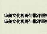 审美文化视野与批评重构：中国当代美学的话语转型（关于审美文化视野与批评重构：中国当代美学的话语转型介绍）