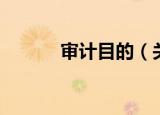 审计目的（关于审计目的介绍）