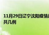11月29日辽宁沈阳疫情最新数据消息及沈阳本土疫情最新总共几例