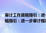 审计工作底稿指引：进一步审计程序之2（关于审计工作底稿指引：进一步审计程序之2介绍）