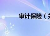 审计保险（关于审计保险介绍）