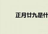 正月廿九是什么星座（正月廿九）