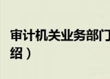 审计机关业务部门（关于审计机关业务部门介绍）