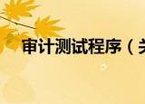 审计测试程序（关于审计测试程序介绍）