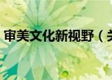 审美文化新视野（关于审美文化新视野介绍）