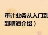 审计业务从入门到精通（关于审计业务从入门到精通介绍）