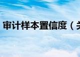 审计样本置信度（关于审计样本置信度介绍）