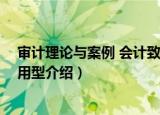 审计理论与案例 会计致用型（关于审计理论与案例 会计致用型介绍）