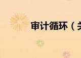 审计循环（关于审计循环介绍）