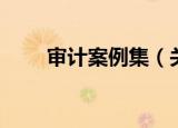 审计案例集（关于审计案例集介绍）