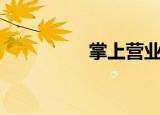 掌上营业厅（掌上crm）
