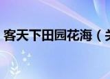 客天下田园花海（关于客天下田园花海介绍）