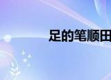 足的笔顺田字格（足的笔顺）