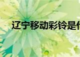 辽宁移动彩铃是什么歌（辽宁彩铃网站）