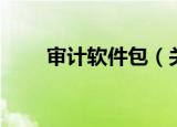 审计软件包（关于审计软件包介绍）