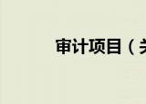 审计项目（关于审计项目介绍）
