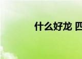 什么好龙 四字成语（什么好）
