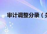 审计调整分录（关于审计调整分录介绍）