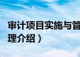 审计项目实施与管理（关于审计项目实施与管理介绍）