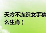 天冷不冻织女手猜生肖（天冷不冻织女手是什么生肖）