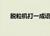 脱粒机打一成语语（脱粒机打一成语）