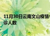 11月30日云南文山疫情今天多少例及文山最新疫情共多少确诊人数
