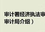审计署经济执法审计局（关于审计署经济执法审计局介绍）