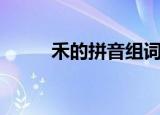禾的拼音组词一年级（禾的拼音）