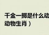千金一掷是什么动物生肖呢（千金一掷是什么动物生肖）