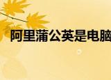 阿里蒲公英是电脑自带的吗（阿里蒲公英）