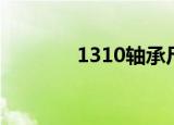 1310轴承尺寸（1310轴承）