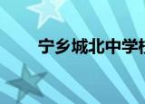 宁乡城北中学校长（宁乡城北中学）