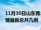 11月30日山东青岛疫情最新数量及青岛土疫情最新总共几例