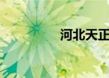河北天正泰（天泰正合）