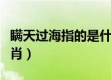 瞒天过海指的是什么生肖（瞒天过海是什么生肖）