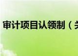 审计项目认领制（关于审计项目认领制介绍）