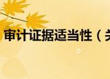 审计证据适当性（关于审计证据适当性介绍）