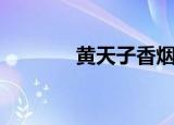 黄天子香烟价格表（黄天子）