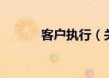 客户执行（关于客户执行介绍）
