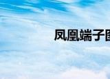 凤凰端子图片（凤凰端子）