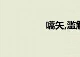 嚆矢,滥觞,振翮（嚆矢）