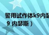 警用试作体k9内瑟斯什么时候（警用试作体k 9 内瑟斯）
