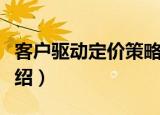客户驱动定价策略（关于客户驱动定价策略介绍）