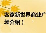 客家新世界商业广场（关于客家新世界商业广场介绍）