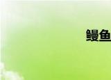 鳗鱼是什么梗？