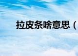 拉皮条啥意思（拉皮条是什么意思哦）