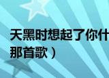 天黑时想起了你什么歌（天黑的时候我又想起那首歌）