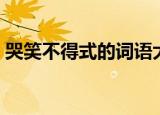 哭笑不得式的词语大全（哭笑不得式的词语）