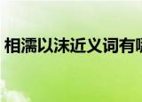 相濡以沫近义词有哪些（相濡以沫的近义词）